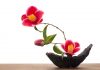 Ikebana – Japanische Blumenarrangements Ikebana – so nennt man die japanische Kunst des Blumen arrangierens. Bildquelle: shutterstock.com