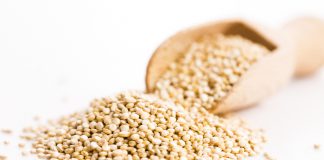 Quinoa – das Super-Nahrungsmittel der Inkas Quinoa wird auch Perureis genannt und wird von vielen als Super-Nahrungsmittel gefeiert. Quelle: shutterstock.com