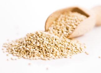 Quinoa – das Super-Nahrungsmittel der Inkas Quinoa wird auch Perureis genannt und wird von vielen als Super-Nahrungsmittel gefeiert. Quelle: shutterstock.com