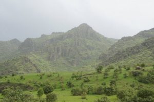 Überraschen grün ist das Gebiet östlich der kurdiuschen Hauptstadt. Bildquelle: 59plus Redaktion