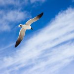 Alcelsa® hilft das Bewusstsein zu erweitern und ungeahnte Möglichkeiten frei zu setzen. Bildquelle: Pixabay.de