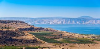 Serie Weingenuss im Abseits: Israel Der Weinanbau hat in Israel eine lange Tradition. Bildquelle: shutterstock.com