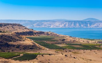 Serie Weingenuss im Abseits: Israel Der Weinanbau hat in Israel eine lange Tradition. Bildquelle: shutterstock.com