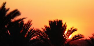 Eine irakische Idylle: Hamilton Road Idyllisch zieht sich Hamilton Road durch das Grenzgebiet zwischen dem Irak und Iran. Bildquelle: pixabay.de