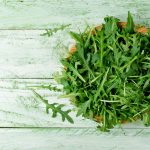 “Fit im Kopf” mit Joghurt-Rucola-Ballchen und Salat. Bildquelle: shutterstock.com