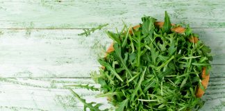 “Fit im Kopf” mit Joghurt-Rucola-Bällchen auf Salat "Fit im Kopf" mit Joghurt-Rucola-Ballchen und Salat. Bildquelle: shutterstock.com