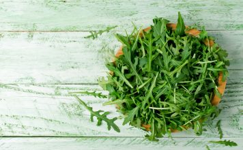 “Fit im Kopf” mit Joghurt-Rucola-Bällchen auf Salat "Fit im Kopf" mit Joghurt-Rucola-Ballchen und Salat. Bildquelle: shutterstock.com