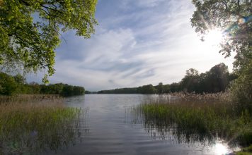 Unser Reisetipp: Uckermark Wo Hase und Igel sich Gute Nacht sagen - die Uckermark. Bildquelle: shutterstock.com