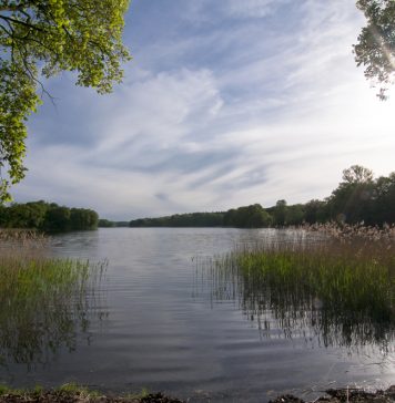 Unser Reisetipp: Uckermark Wo Hase und Igel sich Gute Nacht sagen - die Uckermark. Bildquelle: shutterstock.com