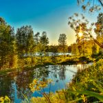 shutterstock_294599342