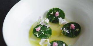 NOMA: Einblicke in die Welt eines Spitzenkochs NOMA Ein Gericht aus der Küche des besten Restaurants der Welt. Quelle: Pierre Deschamps