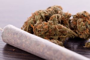 Cannabis wird sehr häufig in Form eines Joints konsumiert. Bildquelle: shutterstock.com