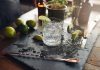 Gin: Vom Heilmittel zum Modegetränk Gin Tonic ist zur Zeit oder mal wieder das absolute Modegetränk. Aber Gin kann auch mehr! Bildquelle: shutterstock.com