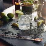 Gin Tonic ist zur Zeit oder mal wieder das absolute Modegetränk. Aber Gin kann auch mehr! Bildquelle: shutterstock.com