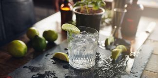 Gin: Vom Heilmittel zum Modegetränk Gin Tonic ist zur Zeit oder mal wieder das absolute Modegetränk. Aber Gin kann auch mehr! Bildquelle: shutterstock.com