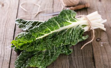 Mangold – die zarte Rübe im Sommer genießen Jetzt im Juli kann wieder frischer Mangold geerntet werden. Quelle: shutterstock.com