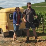 DER WEIN UND DER WIND
