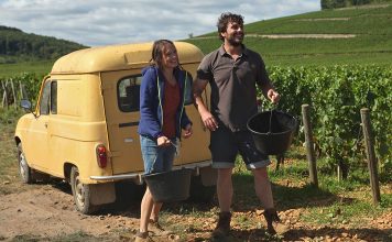 DER WEIN UND DER WIND – oder der Weg zum Glück! DER WEIN UND DER WIND. Die Geschwister Jean (Pio Marma) und Juliette (Ana Girardot) im Weinberg. Quelle: © Studiocanal GmbH