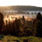 Die Heide. Totengrund bei Sonnenaufgang. Bildquelle: Christiane Feill