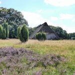 Die Heide. Ein Schafstall zwischen Wilsede und Totengrund. Bildquelle: Christiane Feill