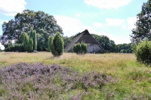 Die Heide. Ein Schafstall zwischen Wilsede und Totengrund. Bildquelle: Christiane Feill