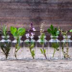 Retterspitz ist eine Mischung von verschiendenen Kräutern und ätherischen Ölen. Bildquelle: shutterstock.com