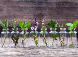 Den Retterspitz kannten schon unsere Großeltern Retterspitz ist eine Mischung von verschiendenen Kräutern und ätherischen Ölen. Bildquelle: shutterstock.com