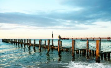 Zingst: Frische Ostseeluft und wilde Natur Das Ostsee-Heilbad Zingst ist Teil des drittgrößten Nationalparks in Deutschland. Bildquelle: pixabay.com