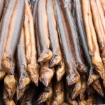 Der Aal – früher eine gänigige Deikatesse. Inzwischen ist der Aal jedoch vom Aussterben bedroht. Bildquelle: shutterstock.com
