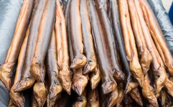 Warum ist der Aal vom Aussterben bedroht? Der Aal - früher eine gänigige Deikatesse. Inzwischen ist der Aal jedoch vom Aussterben bedroht. Bildquelle: shutterstock.com