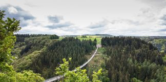 Wandern mit Nervenkitzel auf der Hängebrücke Der Gang über eine Hängeseilbrücke gibt einer Wanderung den ganz besonderen Kick. Bildquelle: Pixabay.de