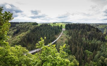 Wandern mit Nervenkitzel auf der Hängebrücke Der Gang über eine Hängeseilbrücke gibt einer Wanderung den ganz besonderen Kick. Bildquelle: Pixabay.de