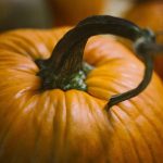 Der Kürbis ist das klassische Gemüse das den beginnenden Herbst ankündigt. Bildquelle: Pixabay.de
