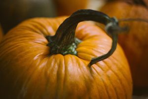 Der Kürbis ist das klassische Gemüse das den beginnenden Herbst ankündigt. Bildquelle: Pixabay.de