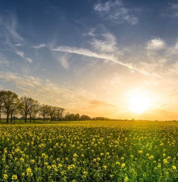 Mecklenburg-Vorpommern: Reisetipps, auch für den kleinen Geldbeutel Natur pur - Mecklenburg Vorpommern ist abwechslungsreich und vielseitig. Bildquelle: https://www.Tilgnerpictures.de