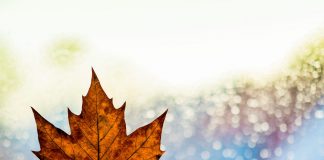 Alcelsa®: Erschöpfung und Schöpfungskraft Müde und erschöpft. Hier kann man z. B. mit Hilfe von Alcelsa® Abhilfe leisten. Bildquelle: Photo by Kai Oberhäuser on Unsplash