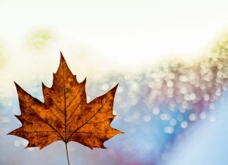 Alcelsa®: Erschöpfung und Schöpfungskraft Müde und erschöpft. Hier kann man z. B. mit Hilfe von Alcelsa® Abhilfe leisten. Bildquelle: Photo by Kai Oberhäuser on Unsplash