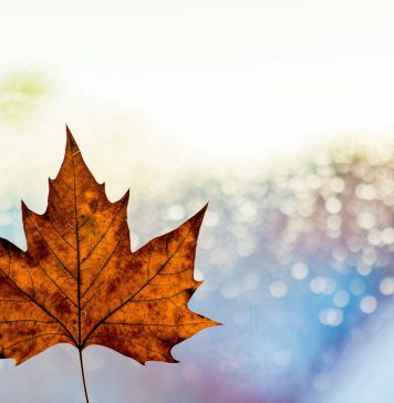 Alcelsa®: Erschöpfung und Schöpfungskraft Müde und erschöpft. Hier kann man z. B. mit Hilfe von Alcelsa® Abhilfe leisten. Bildquelle: Photo by Kai Oberhäuser on Unsplash