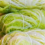 Die Kohlroulade mal vegetarisch – eine schmackhafte Variante, die gutes für die grauen Zellen in sich hat. Bildquelle: Pixabay.de