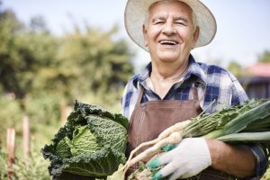 Dünger für das Gehirn? Kann Essen klüger machen? Bildquelle: shutterstock.com