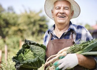 Fit im Kopf: Kann man sich klüger essen? Gute Laune, Kreativität und eine Menge Spaß sind nur einige der durchweg guten Aspekte der Gartenarbeit. Bildquelle: shutterstock.com
