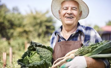 Draußen genießen: Kochende Gärten Gute Laune, Kreativität und eine Menge Spaß sind nur einige der durchweg guten Aspekte der Gartenarbeit. Bildquelle: shutterstock.com