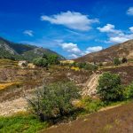Auf kleinen Pfaden durch die Macchia ist der perfekte Einstieg in die Wanderwelt Korsikas. Bildquelle: shutterstock.com