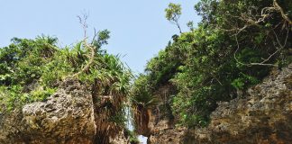 Okinawa: Das japanische Eldorado der Hundertjährigen Okinawa ist die südlichste Präfektur Japans und ein Inselparadies das zum urlauben einlädt. Bildquelle: © Hayato Shin / Unsplash.com