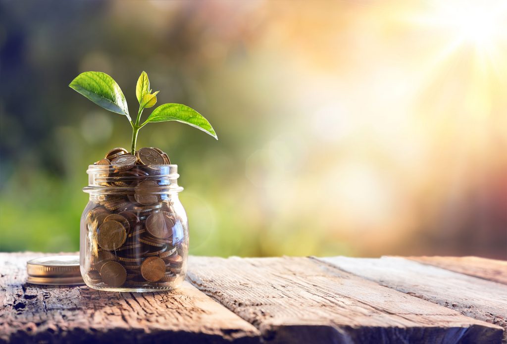 Auch sogenannte Ökofonds haben durchaus interessante Renditeentwicklungen. Bildquelle: © Shutterstock.com