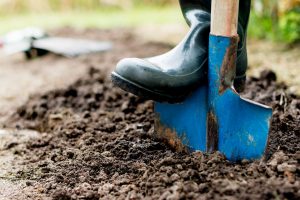 Unsere Garten- oder Balkonpflanzen wollen winterfest gemacht werden. Bildquelle: shutterstock.com