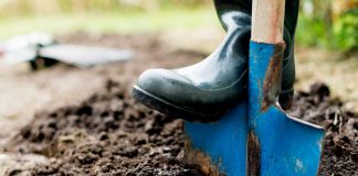 Wie bringe ich meine Gartenpflanzen durch den Winter? Gute Gerätschaften sind natürlich das A und O, um sich die zum Teil vielleicht schwere Arbeit leicht zu machen. Bildquelle: shuttertock.com