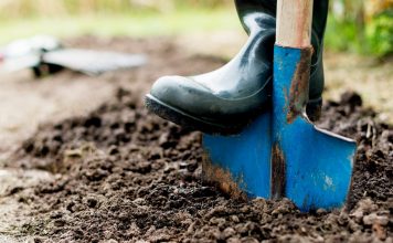 Wie bringe ich meine Gartenpflanzen durch den Winter? Gute Gerätschaften sind natürlich das A und O, um sich die zum Teil vielleicht schwere Arbeit leicht zu machen. Bildquelle: shuttertock.com