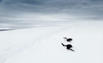 Sind Sie startklar für die Wintermode 2017? Der nächste Winter steht vor der Tür. Sind Sie mit ihrer Garderobe schon vorbereitet? Bildquelle: Photo by lucas huffman on Unsplash