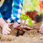 Der Garten ist für viele von uns vor allem im Alter wahre Medizin. Bildquelle: shutterstock.com